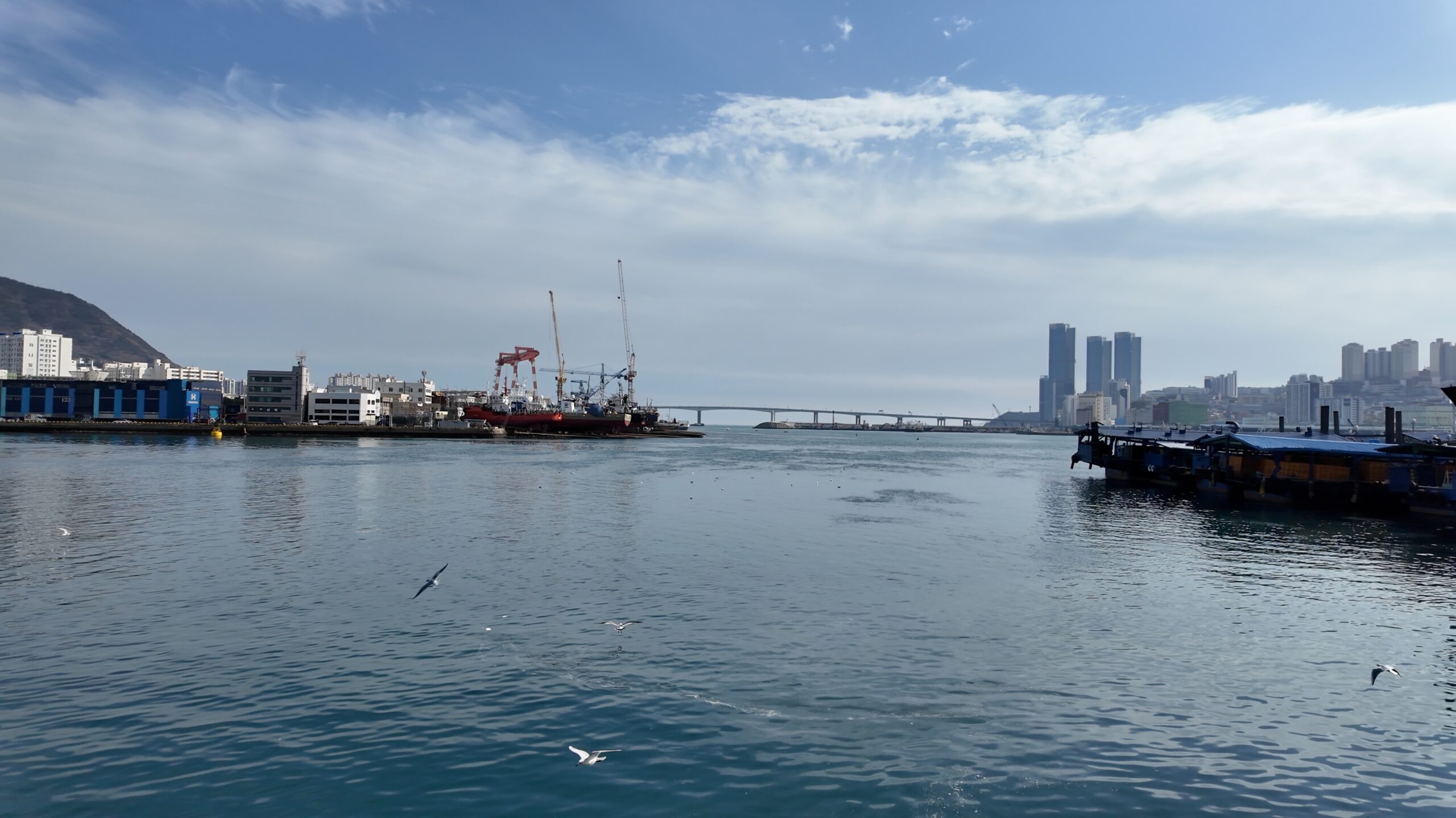 チャガルチ市場裏の港から眺める釜山の海とカモメ