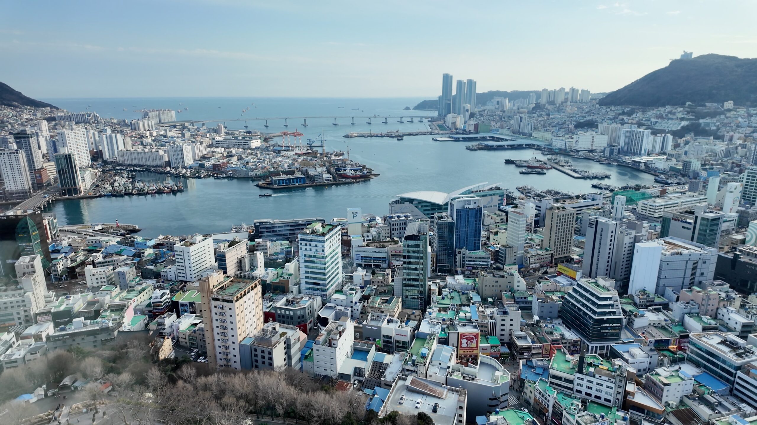釜山タワー展望台から見下ろすチャガルチ市場と南港大橋方面