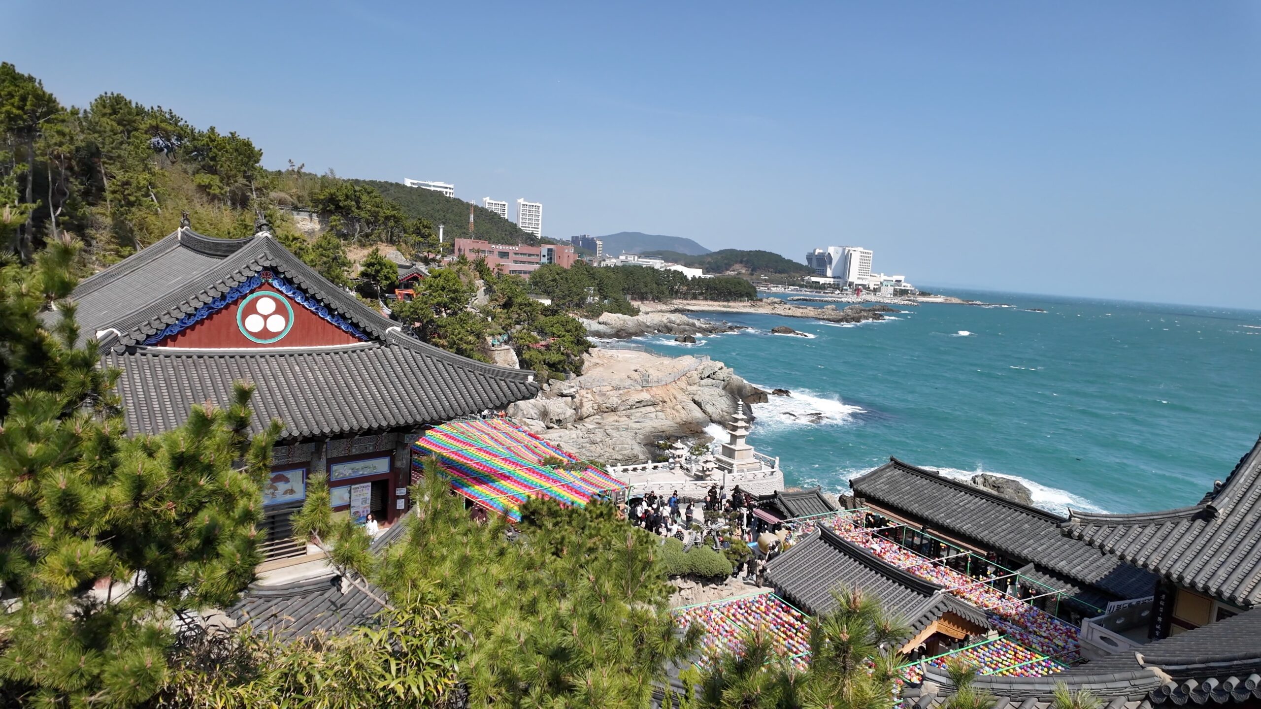 高台から見下ろす海東龍宮寺の全景と青い海岸線