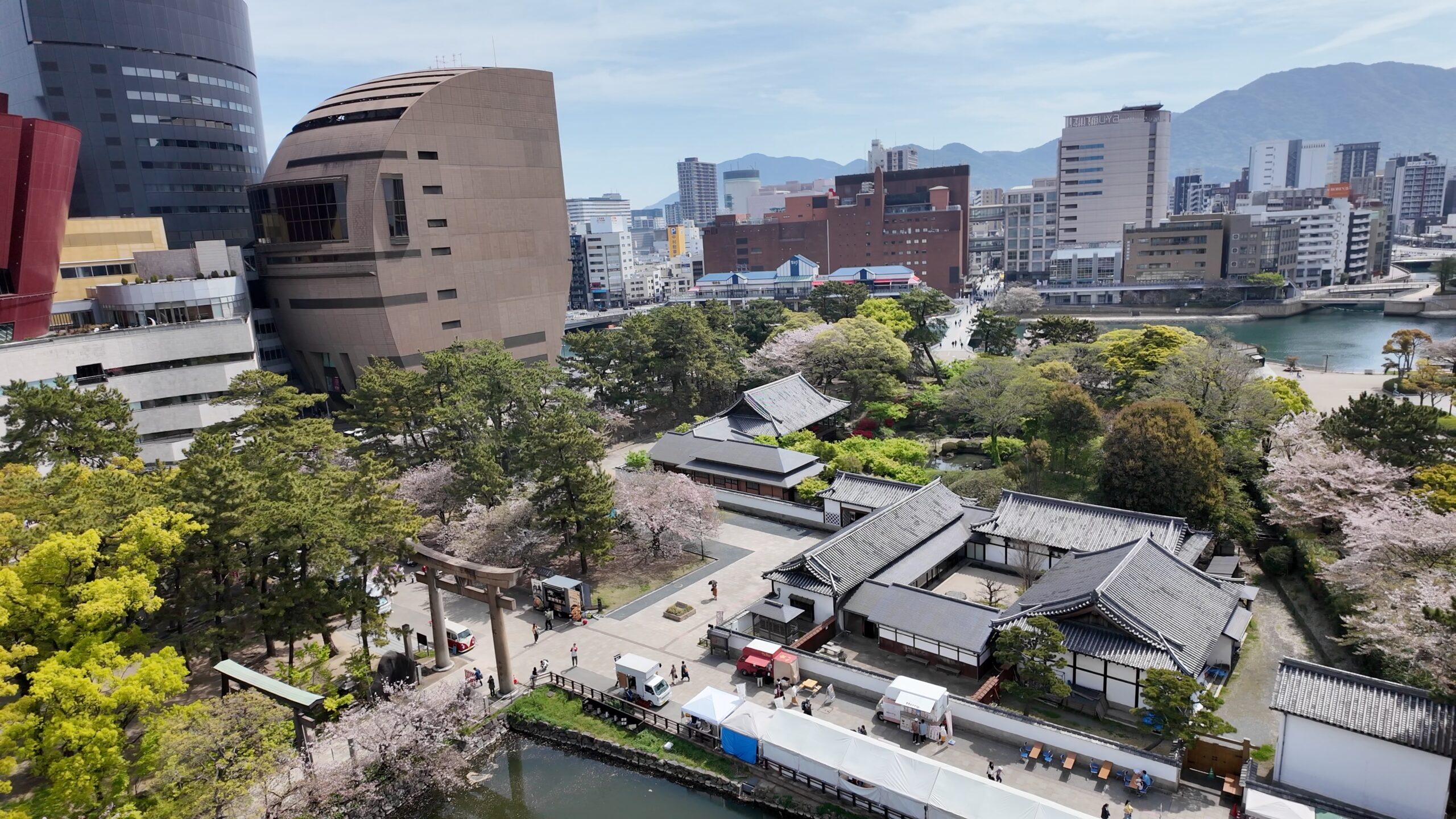 小倉城天守閣から見下ろす桜と境内の景色
