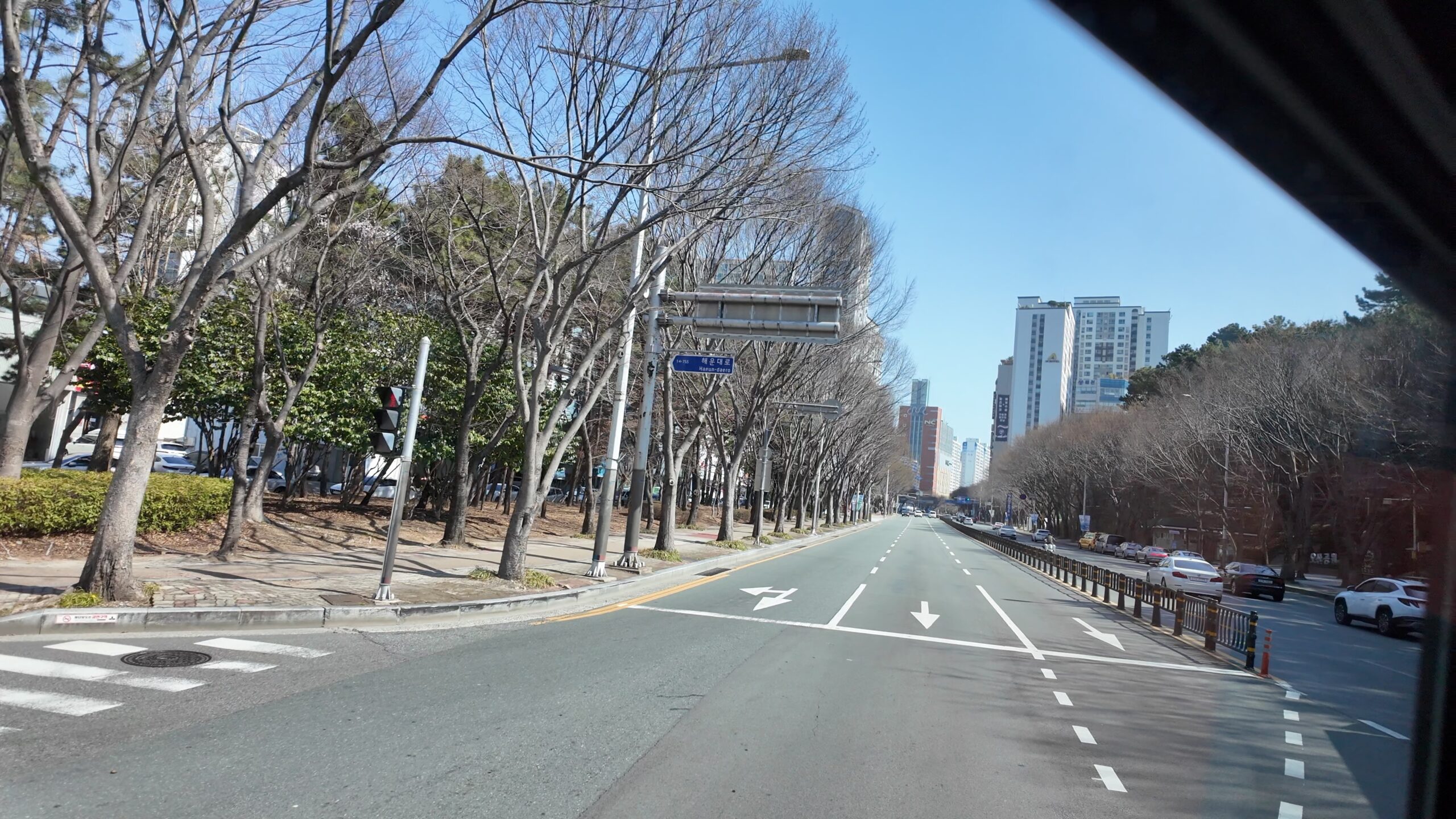 バス車窓から眺める海雲台路沿いの並木道と青空