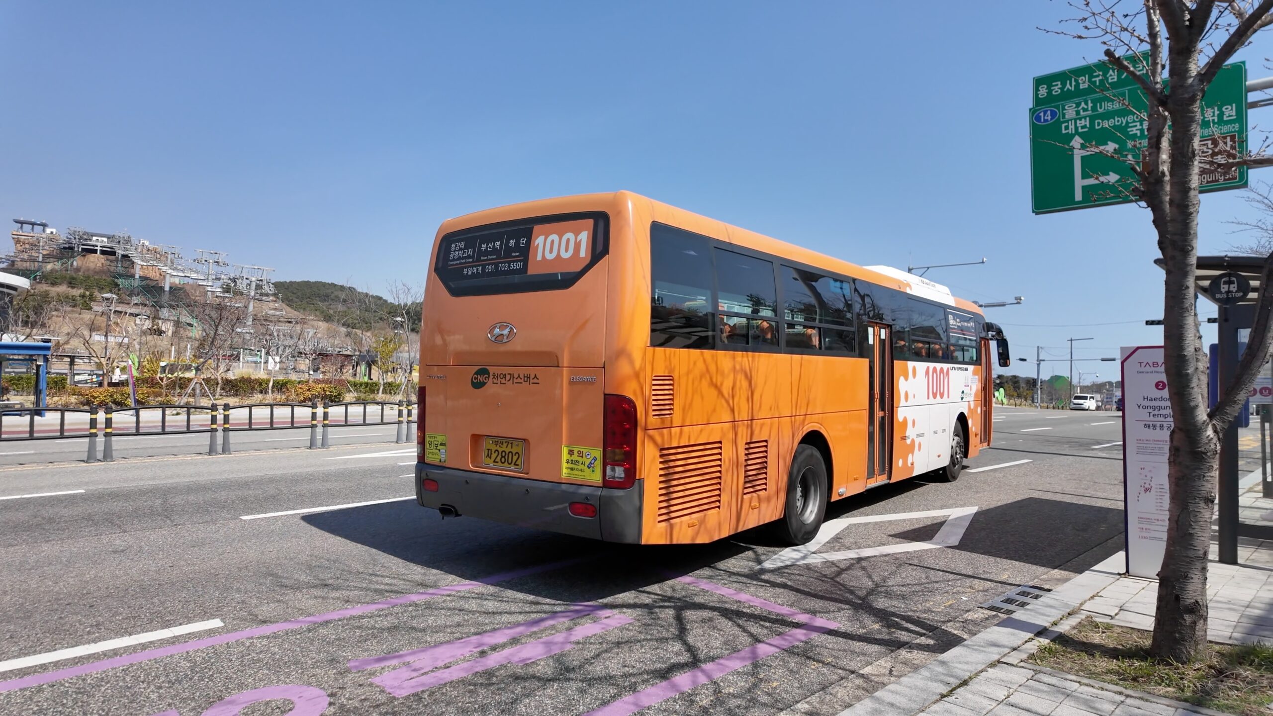 海東龍宮寺入口のバス停で下車した1001番バス