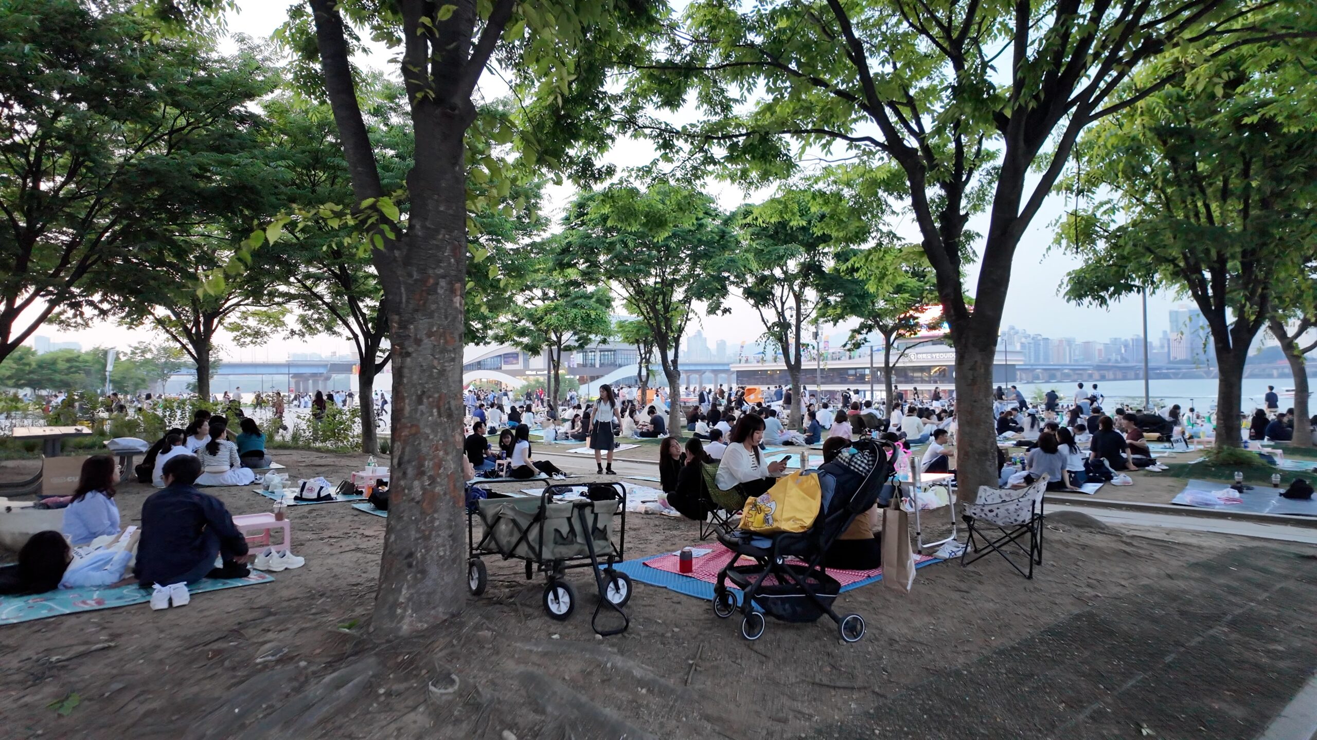 汝矣島漢江公園でシートを敷いてピクニックを楽しむ多くの人々