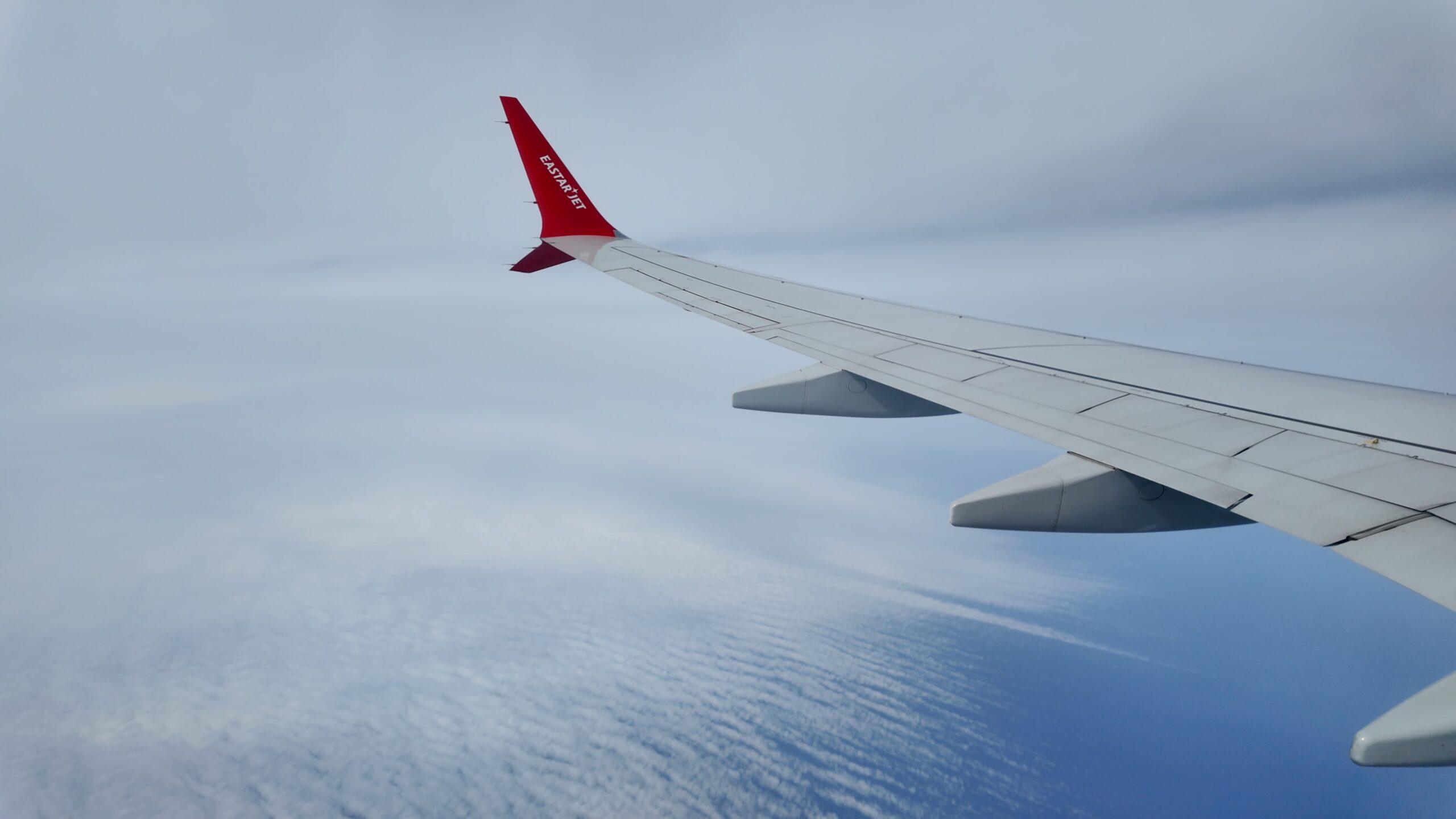 日本海上空を飛行する主翼と広がる雲海